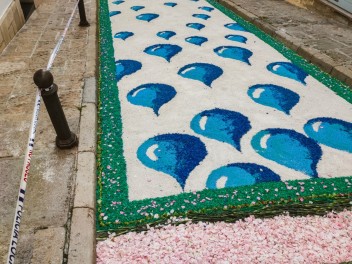 Ковры из цветов в Бланесе, 2024 / Catifes de flors de Blanes, 2024 / Alfombras de Flores Naturales, Blanes, 2024