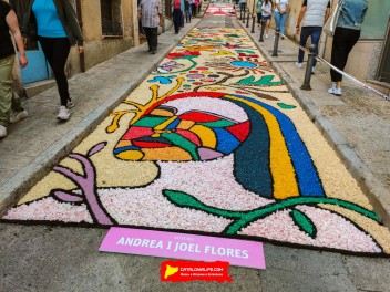 Ковры из цветов в Бланесе, 2024 / Catifes de flors de Blanes, 2024 / Alfombras de Flores Naturales, Blanes, 2024