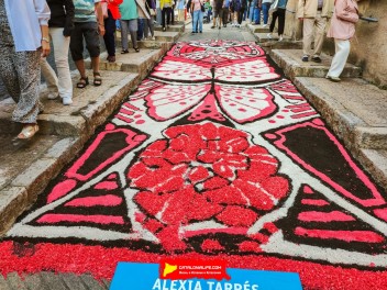 Ковры из цветов в Бланесе, 2024 / Catifes de flors de Blanes, 2024 / Alfombras de Flores Naturales, Blanes, 2024
