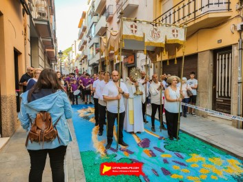 Ковры из цветов в Бланесе, 2024 / Catifes de flors de Blanes, 2024 / Alfombras de Flores Naturales, Blanes, 2024