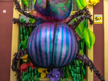 Фотоотчёт: Улица Периль (carrer Perill) Наука о насекомых (Insectes en Perill) - Феста Майор де Грасиа 2023 (Festa Major de Gràcia 2023)
