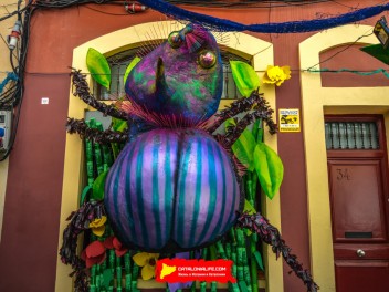 Фотоотчёт: Улица Периль (carrer Perill) Наука о насекомых (Insectes en Perill) - Феста Майор де Грасиа 2023 (Festa Major de Gràcia 2023)