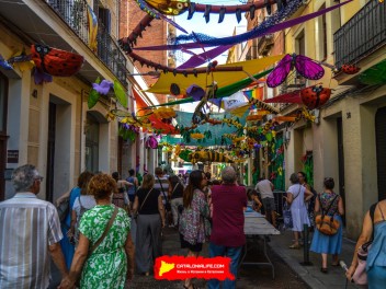 Фотоотчёт: Улица Периль (carrer Perill) Наука о насекомых (Insectes en Perill) - Феста Майор де Грасиа 2023 (Festa Major de Gràcia 2023)