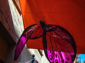 Фотоотчёт: Улица Периль (carrer Perill) Наука о насекомых (Insectes en Perill) - Феста Майор де Грасиа 2023 (Festa Major de Gràcia 2023)