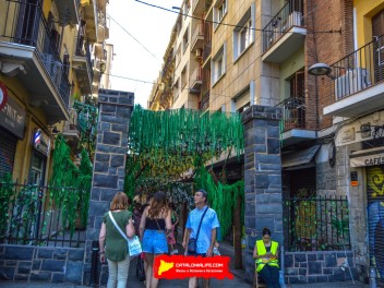 Фотоотчёт: Улица Пуйгмарти (carrer Puigmartí) Живая природа (Natura Viva) - Феста Майор де Грасиа 2023 (Festa Major de Gràcia 2023)