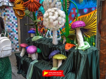 Фотоотчёт: Улица Моцарт (carrer Mozart) Моцартланд (Mozartland) - Феста Майор де Грасиа 2023 (Festa Major de Gràcia 2023)