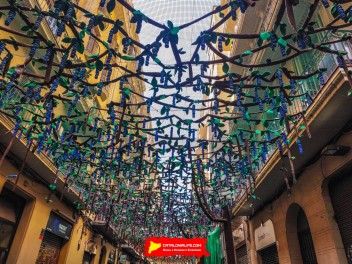 Фотоотчёт: Улица Пуйгмарти (carrer Puigmartí) Живая природа (Natura Viva) - Феста Майор де Грасиа 2023 (Festa Major de Gràcia 2023)