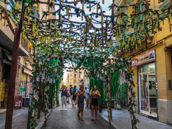 Фотоотчёт: Улица Пуйгмарти (carrer Puigmartí) Живая природа (Natura Viva) - Феста Майор де Грасиа 2023 (Festa Major de Gràcia 2023)