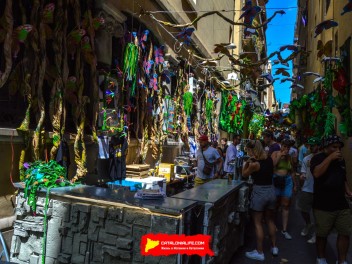 Фотоотчёт: Улица Хесус (carrer Jesús) Спасите джунгли (Selva’m) - Феста Майор де Грасиа 2023 (Festa Major de Gràcia 2023)