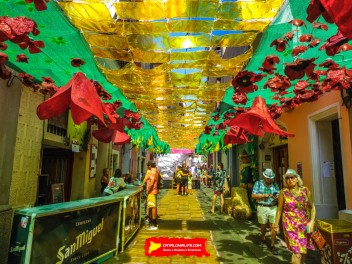 Фотоотчёт: Улица Фратернитат де Дальт (carrer Fraternitat de Dalt) Фратерния Оз (Fratern d’OZ) - Феста Майор де Грасиа 2023 (Festa Major de Gràcia 2023)