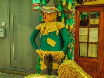 Фотоотчёт: Улица Фратернитат де Дальт (carrer Fraternitat de Dalt) Фратерния Оз (Fratern d’OZ) - Феста Майор де Грасиа 2023 (Festa Major de Gràcia 2023)