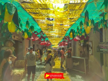 Фотоотчёт: Улица Фратернитат де Дальт (carrer Fraternitat de Dalt) Фратерния Оз (Fratern d’OZ) - Феста Майор де Грасиа 2023 (Festa Major de Gràcia 2023)