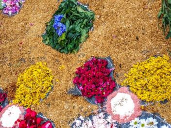 Ковры из цветов в Ллорет-де-Мар, Les Catifes de Flors del Corpus a Lloret de Mar