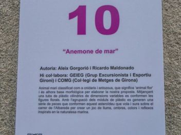 63-ый Фестиваль цветов в Жироне, 2018 / 63ª edició de Girona, Temps de Flors (Tiempo de Flores), 2018