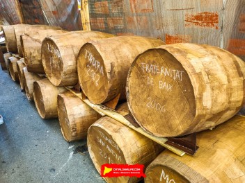 Улица Ллибертат (Carrer de la Llibertat): «Винный погреб Либертат» — дань культуре вина. (‘Celler Llibertat’. Un homenatge a la cultura del vi.) - Феста Майор де Грасиа 2024 (Festa Major de Gràcia 2024)