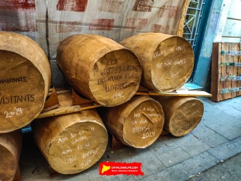 Улица Ллибертат (Carrer de la Llibertat): «Винный погреб Либертат» — дань культуре вина. (‘Celler Llibertat’. Un homenatge a la cultura del vi.) - Феста Майор де Грасиа 2024 (Festa Major de Gràcia 2024)