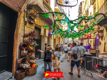 Улица Ллибертат (Carrer de la Llibertat): «Винный погреб Либертат» — дань культуре вина. (‘Celler Llibertat’. Un homenatge a la cultura del vi.) - Феста Майор де Грасиа 2024 (Festa Major de Gràcia 2024)
