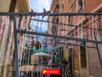 Улица Ллуис Вивес (Carrer de Lluís Vives): «Выбери море» — размышление о состоянии наших морей. (‘Escull la mar’. Una reflexió sobre l’estat dels nostres mars.) - Феста Майор де Грасиа 2024 (Festa Major de Gràcia 2024)